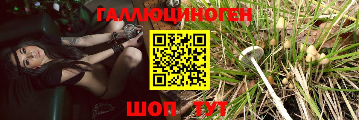 Псилоцибиновые грибы Magic Shrooms  Псилоцибиновые грибы GOLDEN TEACHER  Белебей  Вход с VPN 