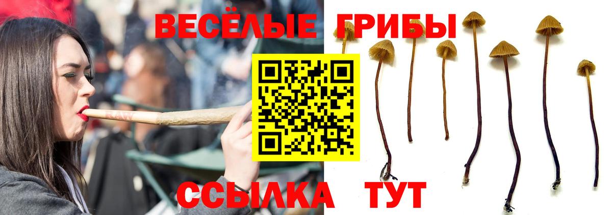 МЕТАДОН Белебей